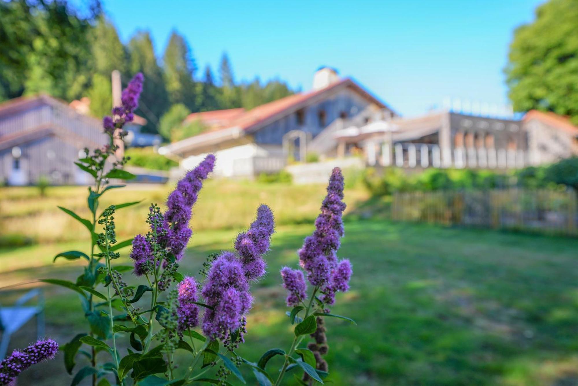 Auberge De La Poulciere Жерарме Экстерьер фото